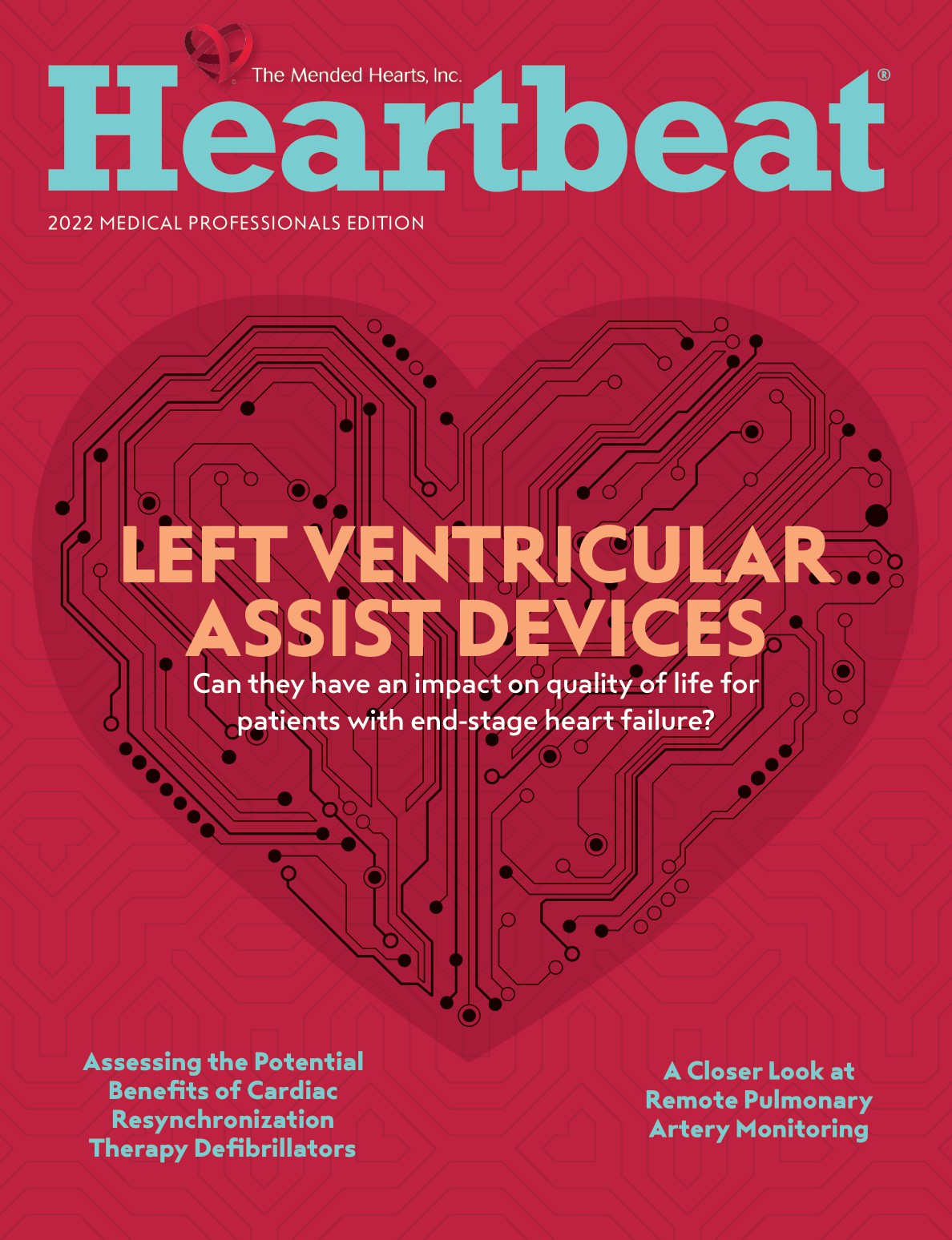 Heartbeat 2022 Medical Professionals Edition