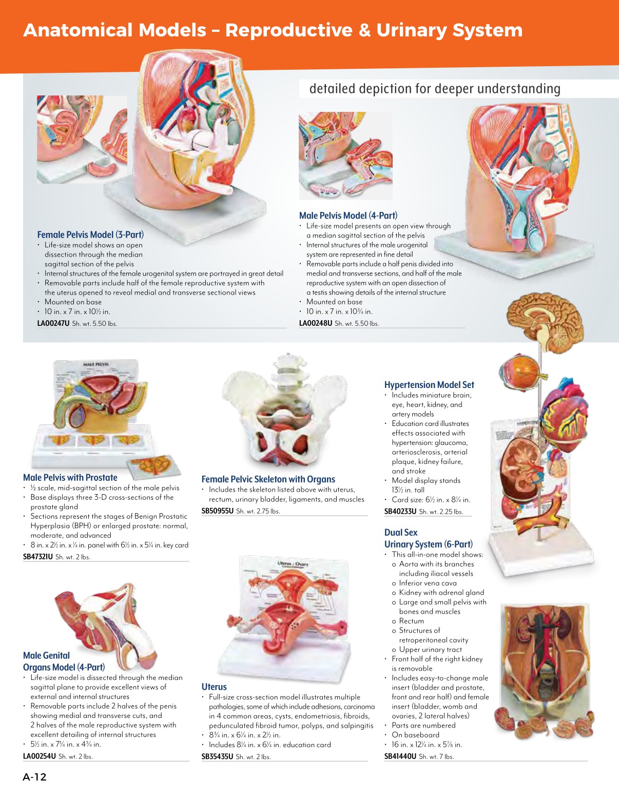 Nasco Healthcare Full Catalog USA