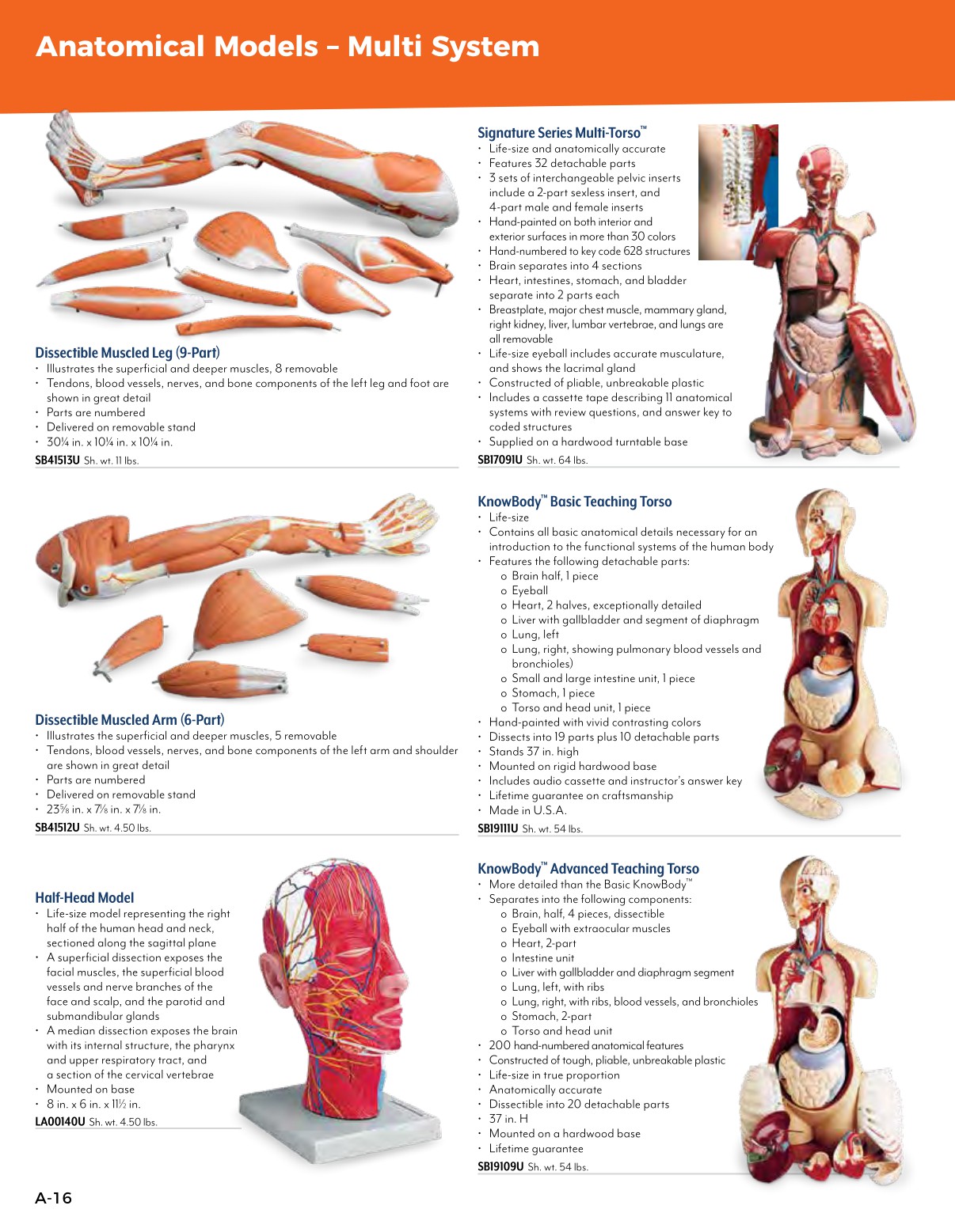 Nasco Healthcare Full Catalog USA