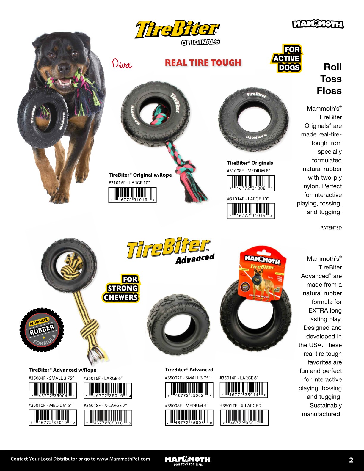 Mammoth Catalog 2024