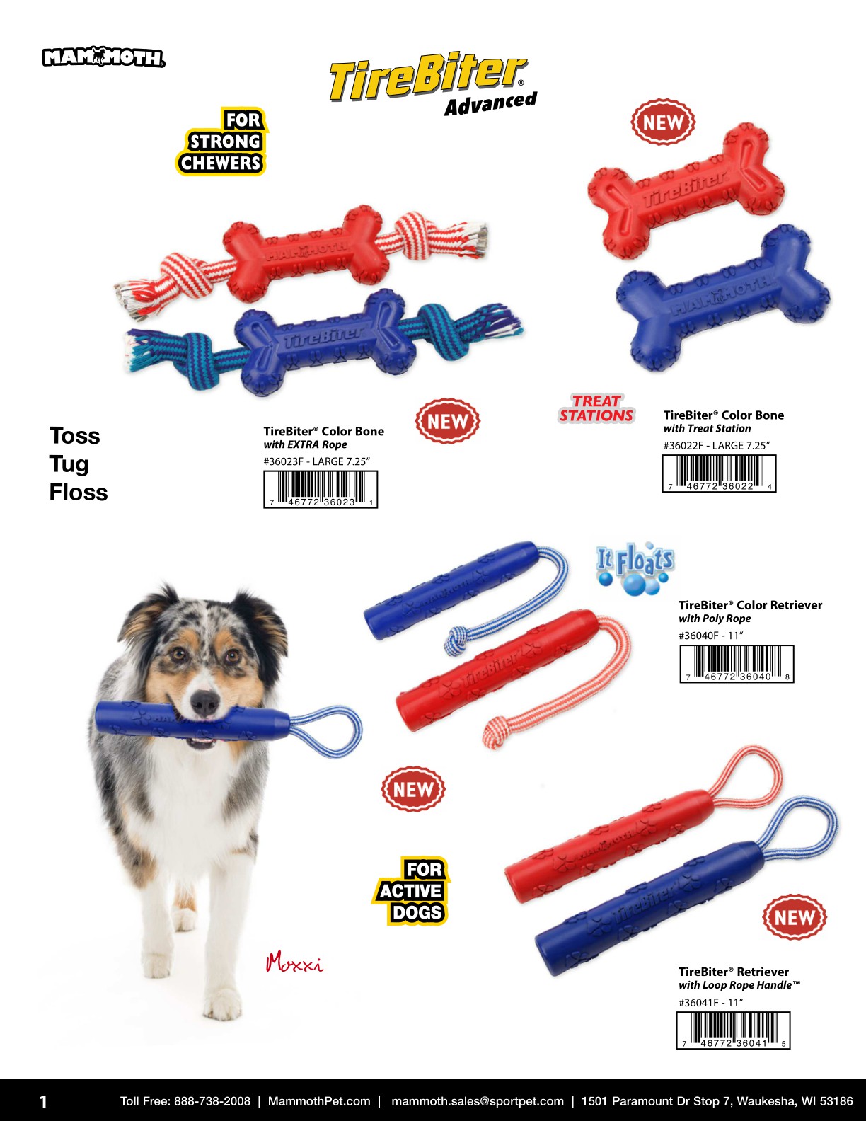 Mammoth Catalog 2025