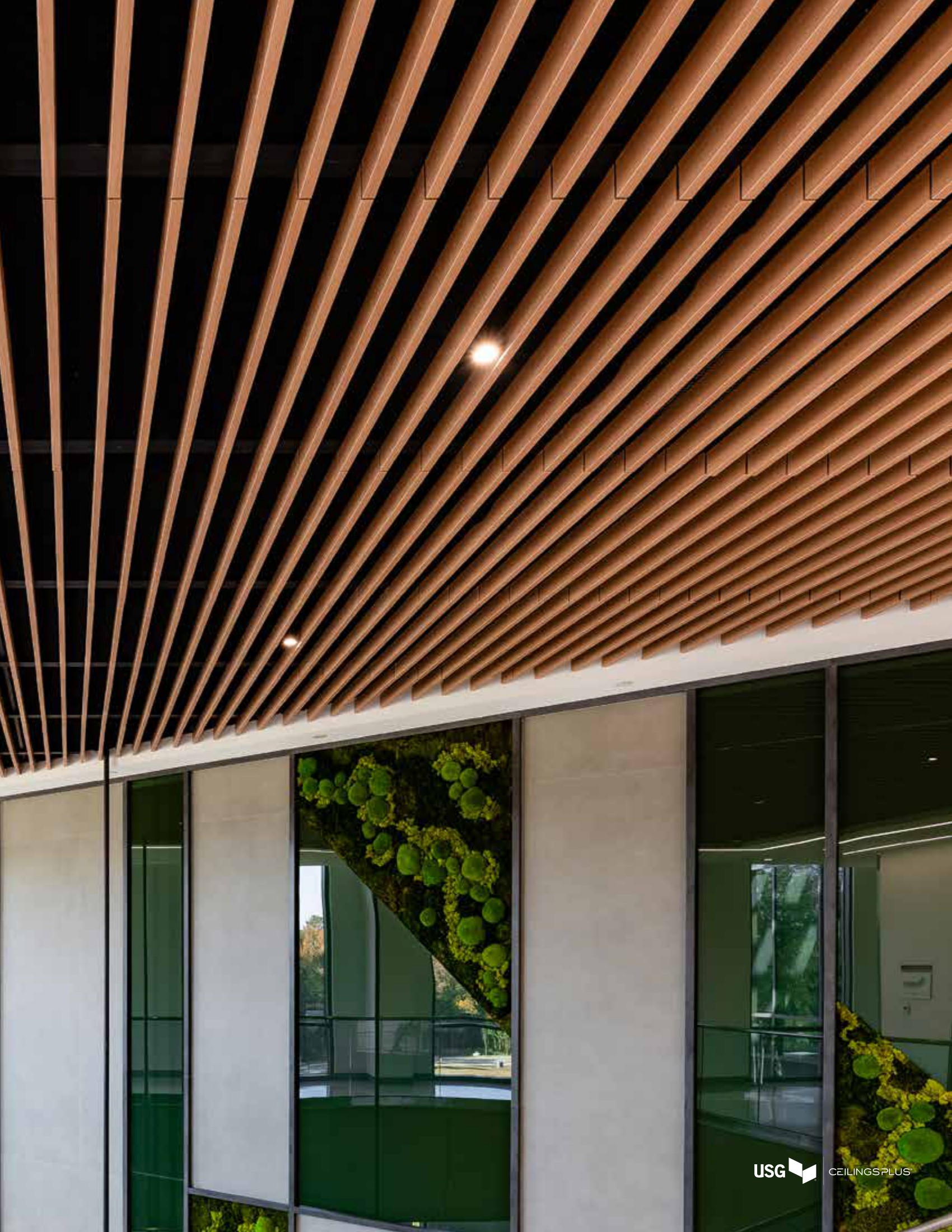 ceilings plus look book