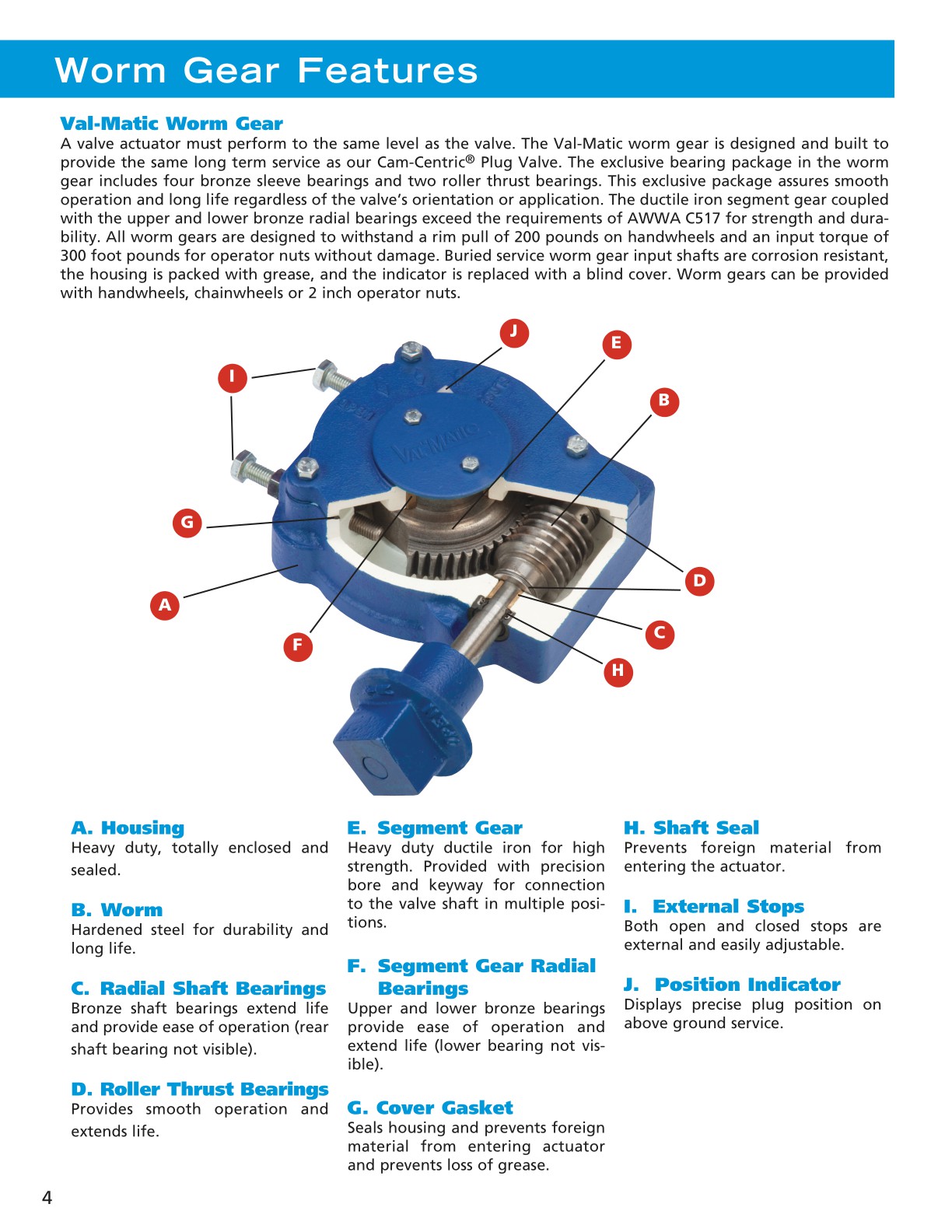 CamCentric® Plug Valve100 Port