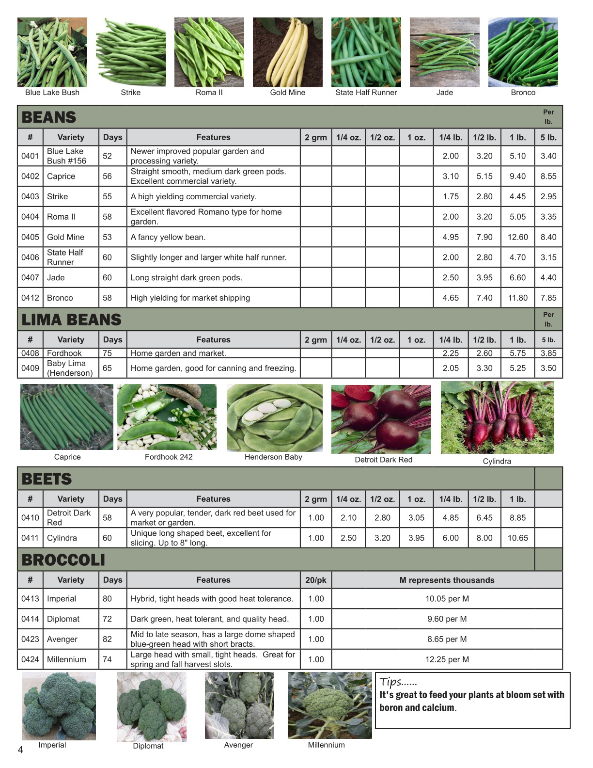 Yoders Produce Catalog 2025